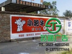 墻體廣告會(huì)成為主流的廣告選擇