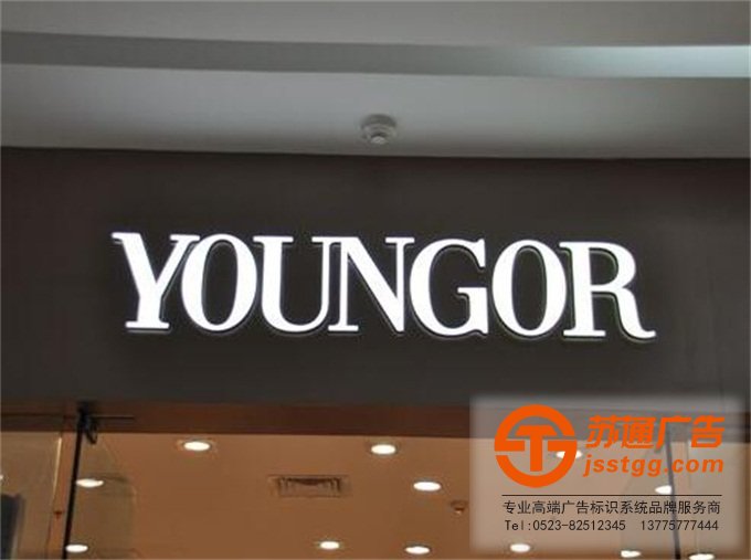 不銹鋼發(fā)光字 不銹鋼發(fā)光字