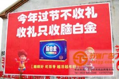 新穎的構(gòu)思促進了墻體廣告的優(yōu)良發(fā)展